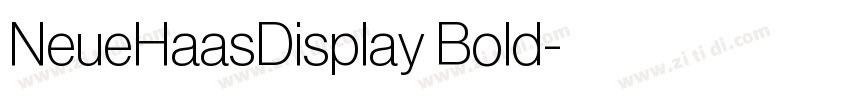 NeueHaasDisplay Bold字体转换